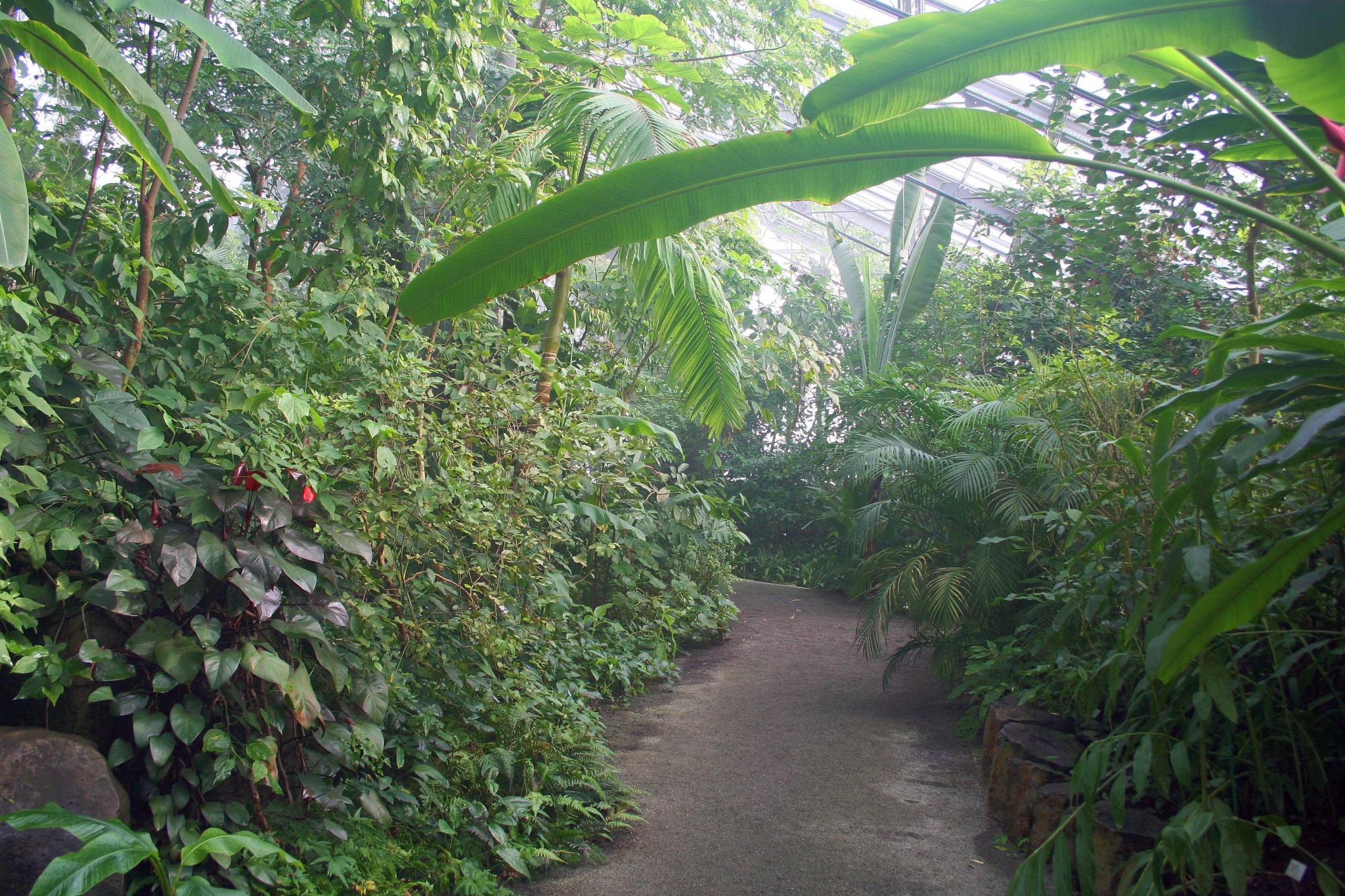 Dr. Marianne Lauerer, ÖkologischBotanischer Garten der Universität