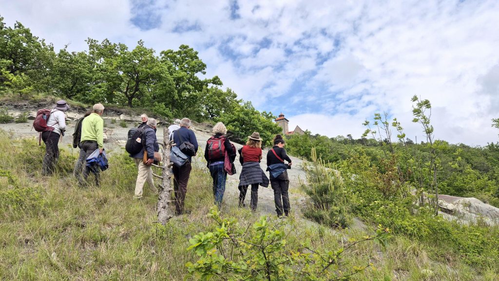 Tagesexkursion zu den Drei Gleichen in Thüringen unter der Leitung von Stefan Pfützenreuter im Mai 2025